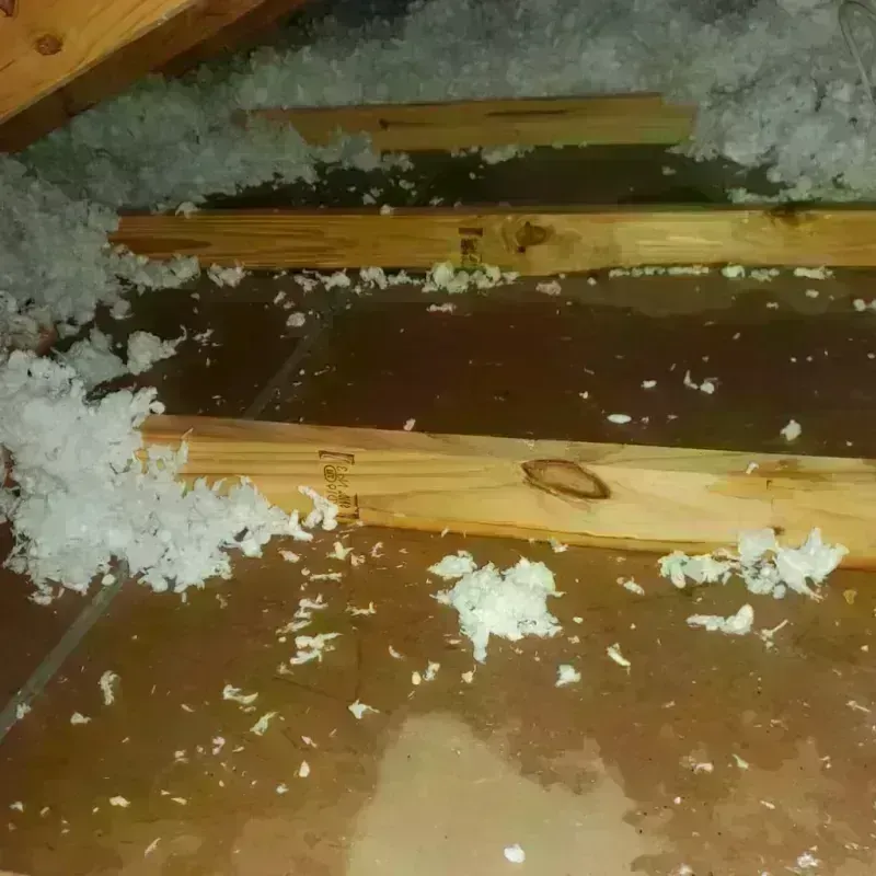 Attic Water Damage in Irion County, TX